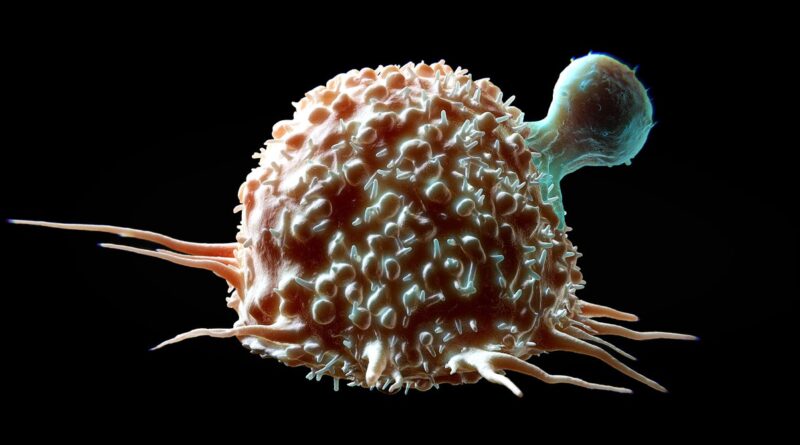 This Personalized Crispr Therapy Is Designed to Attack Tumors
