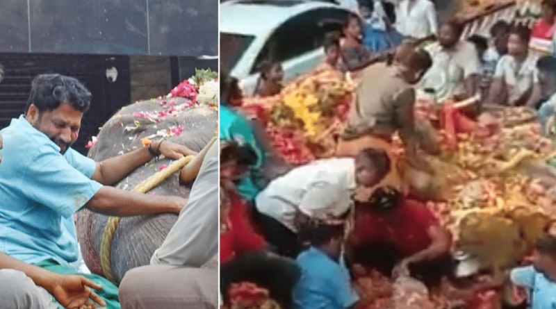 Puducherry temple Lakshmi's mahout, locals cry profusely during her funeral, watch emotional video