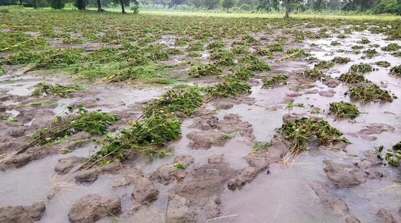 Rain & hail storm shatters hopes of farmers in UP, Yogi govt to give compensation