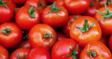 Tomato prices cross Rs 100 per kg in many cities