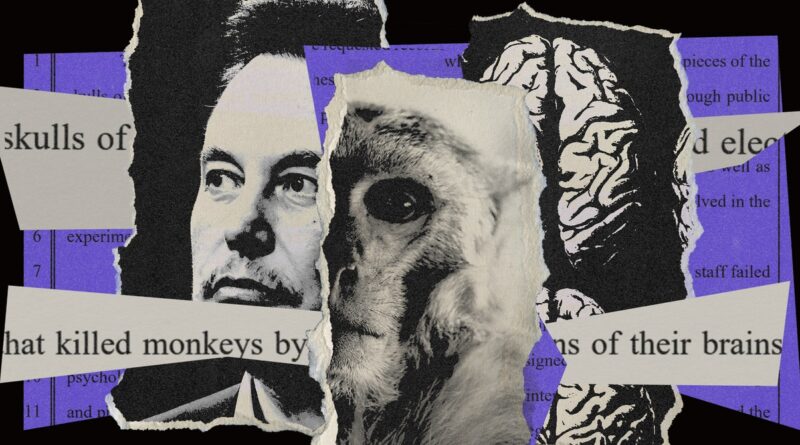 How Neuralink Keeps Dead Monkey Photos Secret