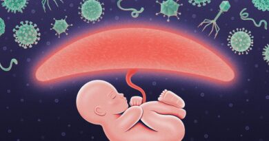 During Pregnancy, the Placenta Hacks the Immune System to Protect the Fetus